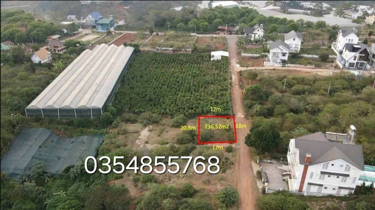 Đất Nền Đà Lạt 236.52m² - Sổ Hồng Riêng, Vị Trí Măng Lin