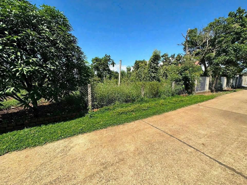 Đất nền Quảng Điền 200m² - Đường ô tô thông, giá đầu tư tốt!