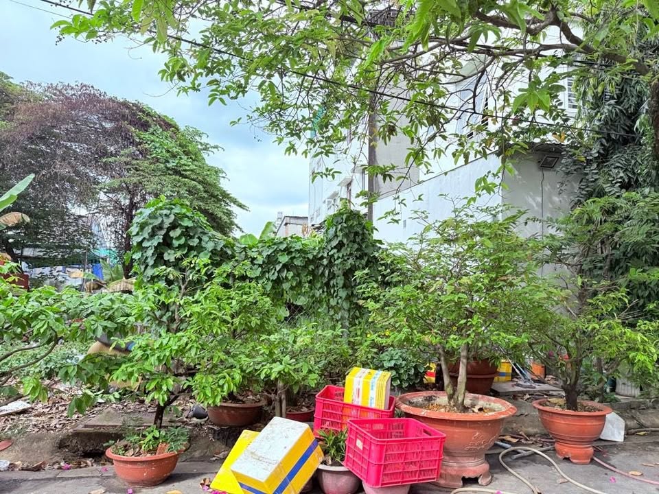 Đất nền 135m² khu Tân Tiến, Q.12 - Giá 7.99 tỷ - Sổ hồng sẵn sàng