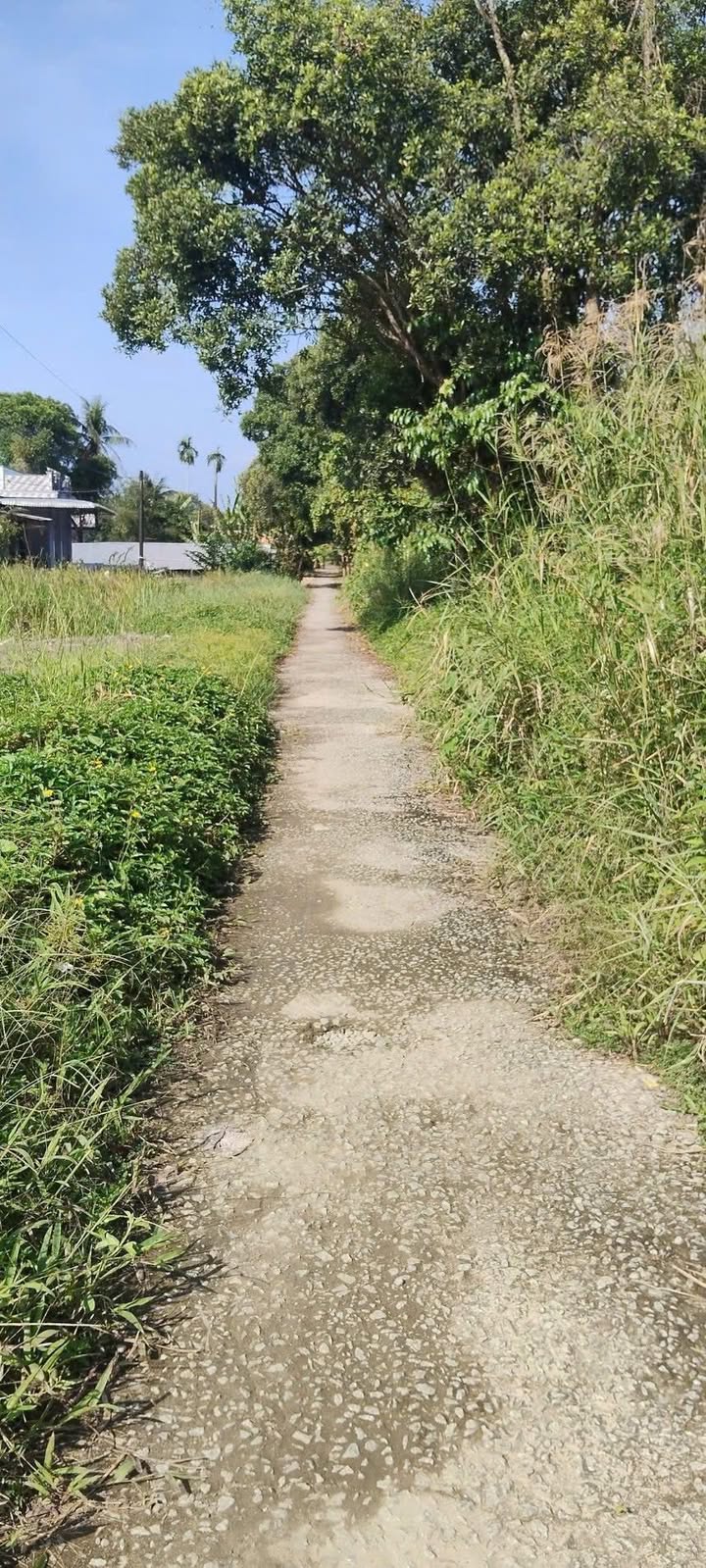 Đất Nền Vĩnh Viễn A, Hậu Giang - 997m² Sổ Hồng Riêng, Giá Tốt 270 Triệu