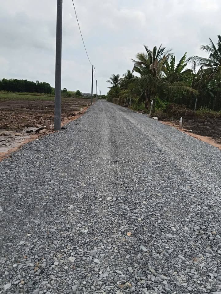 Đất Nền Sổ Sẵn Gần Chợ Hòa Bình, Tây Ninh - Giá Tốt