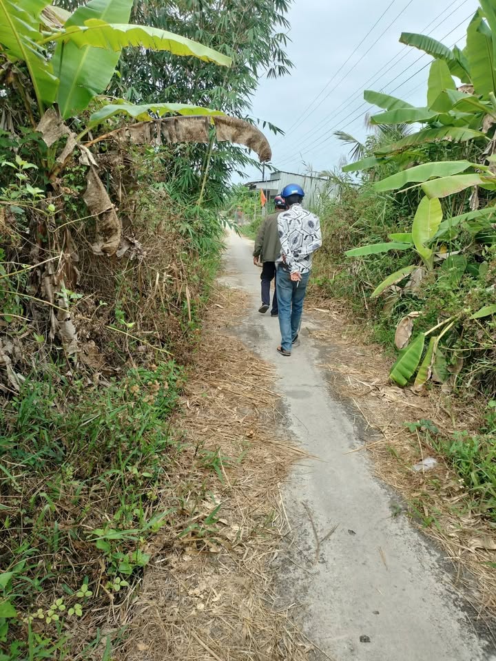 Đất Vườn Cà Mau 10.700m² - Giá 950 Triệu - Sẵn Sàng Đầu Tư