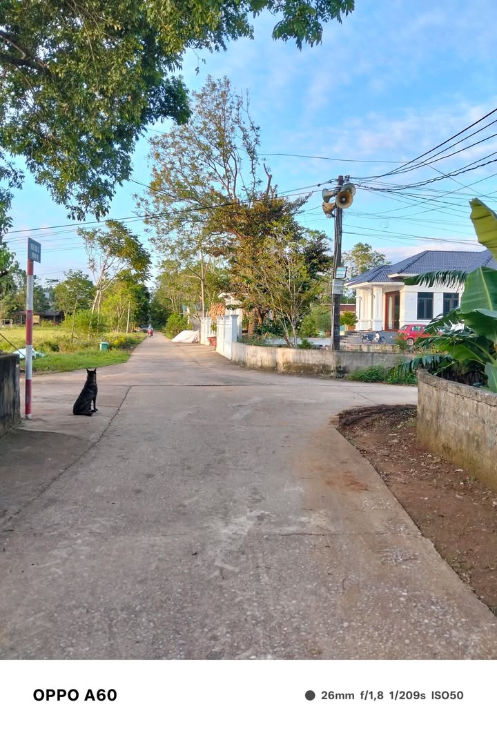 Bán Đất Nền Thăng Long, Nông Cống 200m² - Giá 500 Triệu Chính Chủ