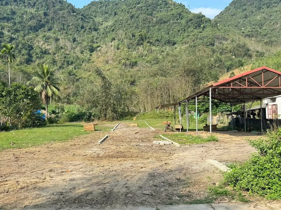 Đất nền Văn Miếu Phú Thọ 256m² giá 500 triệu - Sổ đỏ chính chủ!