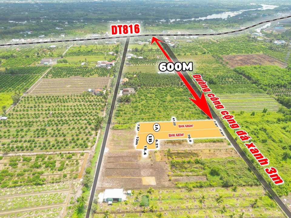 Đất vườn Bến Lức Long An 500m² giá 499 triệu - Nghỉ dưỡng lý tưởng!