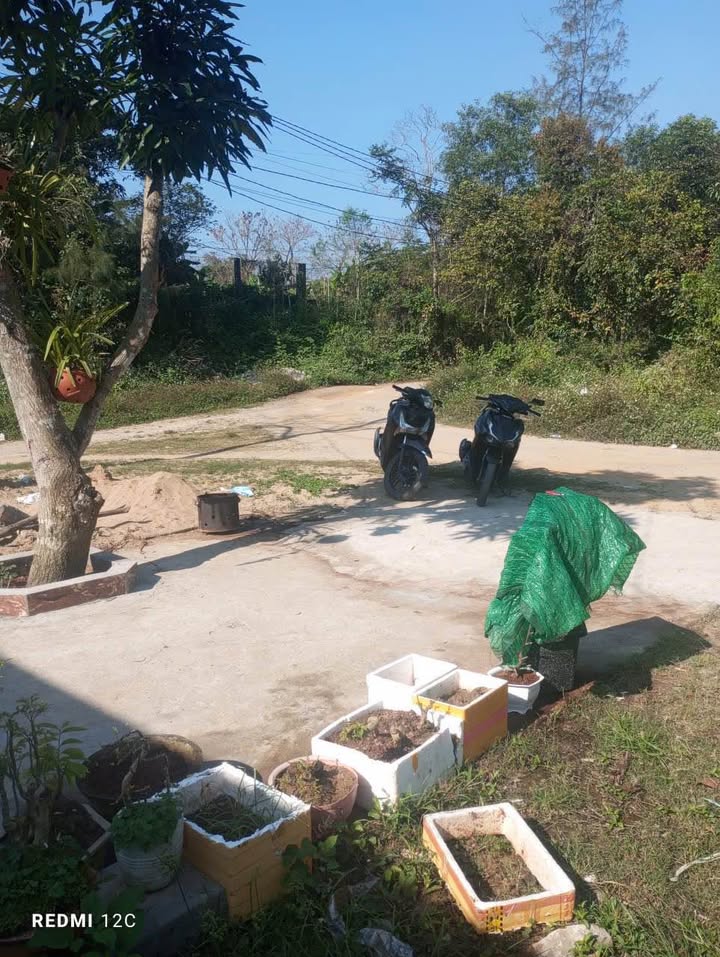 Nhà 130m² Trần Đại Nghĩa, Huế - Kiệt Ô tô, Giá 1.25 Tỷ