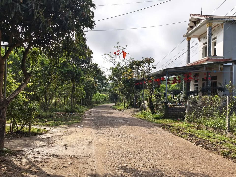 Đất nền Cao Phong, Hòa Bình 1003m² giá 900 triệu - Giá tốt hiếm có!