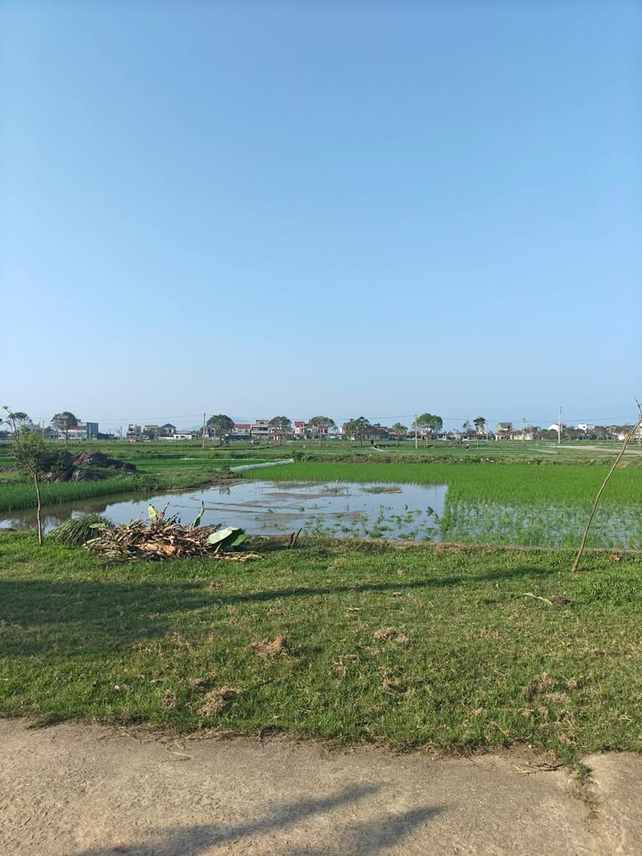 Bán Gấp 2 Lô Đất Vàng Xã Thạch Sơn, Hà Tĩnh - Sổ Đỏ Sẵn Sàng