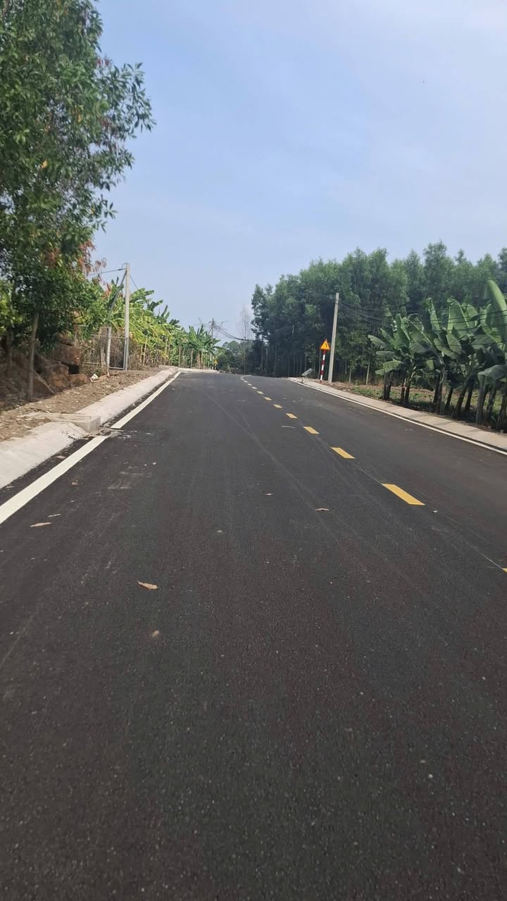 Đất nền Thống Nhất Đồng Nai 1404m² - Tiềm năng tăng giá vượt trội!