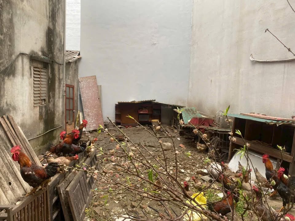 Đất nền Tây Hồ 55m² MT 6.2m - Vài bước ra phố - Giá 9.x tỷ