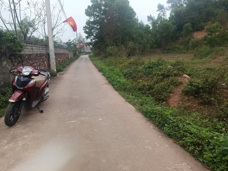 Đất Lô Góc Kinh Doanh Đường Ô Tô Tiền Phong, Bắc Giang - 74m²