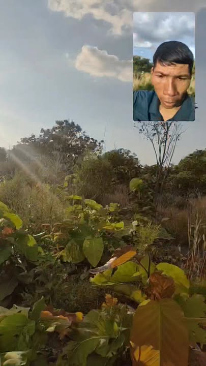 Bán Gấp 7ha Đất Vườn Ia Lâu, Gia Lai - 4ha Điều, 3ha Trống - Giá 600 Triệu