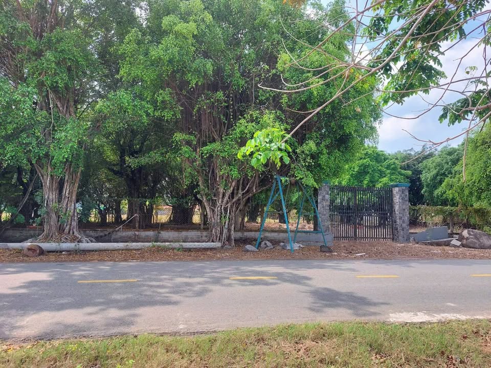 Cho Thuê Mặt Bằng Kinh Doanh 2000m² Góc Ngã Tư An Nhơn Tây, Củ Chi - Giá 20 Triệu/Tháng