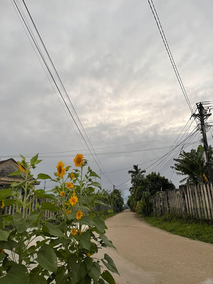 Bán Đất Nền Đường Nhân Hoà 2, Hoà Xuân Đà Nẵng - 100m² Hướng Bắc