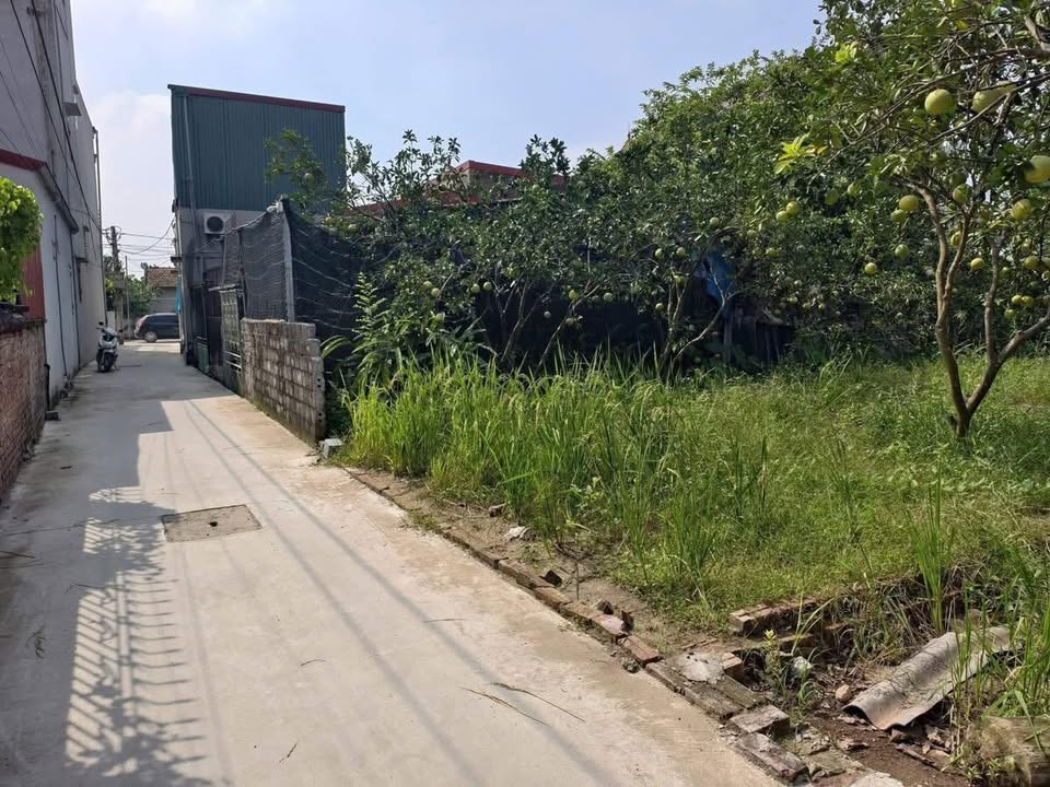 Đất Vĩnh Ninh, Phú Xuyên: 92m², Sổ Đỏ Sẵn, Ô Tô Tới Nơi, Chỉ 2 Tỷ