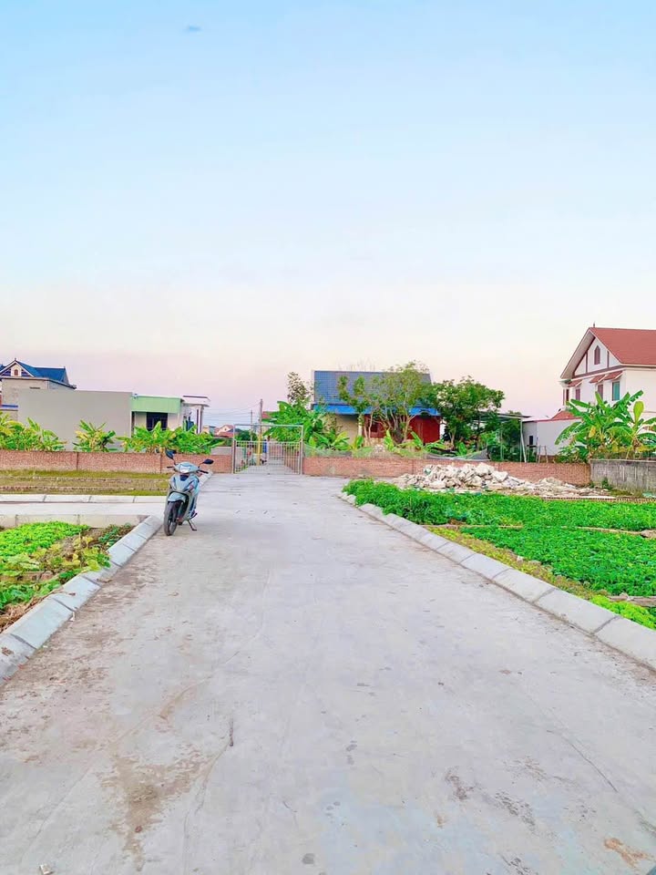 Đất nền An Lão, Hải Phòng 63m² - Sổ đỏ sẵn sàng, gần CCN Chiến Thắng