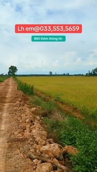 Bán Gấp Đất Vườn 11000m² Tân Hưng Long An - View Kênh Lớn, Giá Đầu Tư 1.2 Tỷ