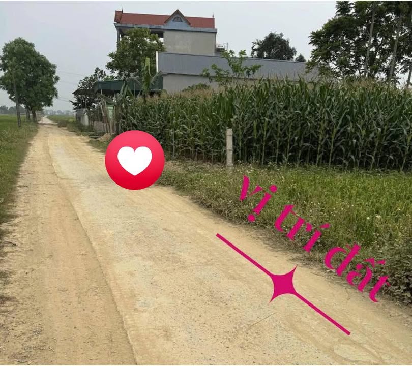 Đất nền Thọ Long, Thọ Xuân 200m² - Sổ đỏ chính chủ, tiềm năng tăng giá!