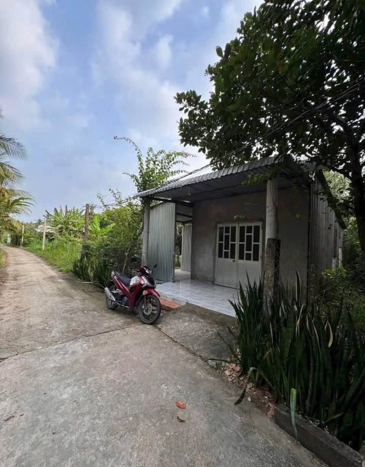 Bán Gấp Nhà Vườn Bến Tre 172m² - Sẵn Sàng Ở Ngay