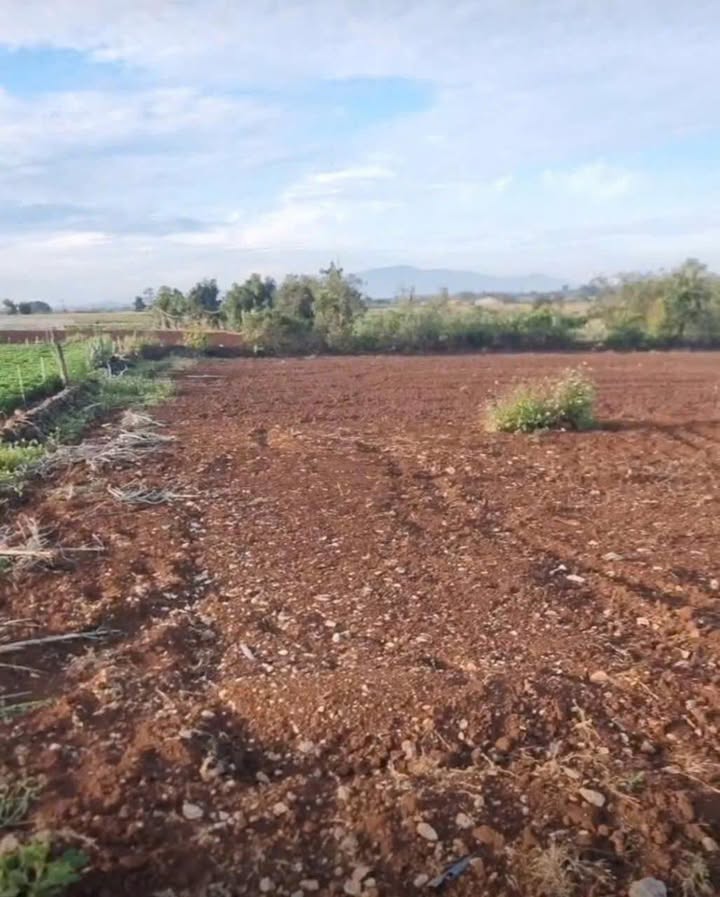 Đất nền Tân An, Đức Trọng 1332m² - Tiềm năng tăng giá vượt trội!