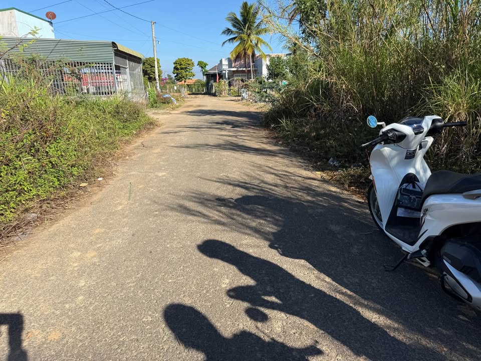 Đất nền Đức Trọng 155m² - Sổ hồng thổ cư, đường nhựa 8m