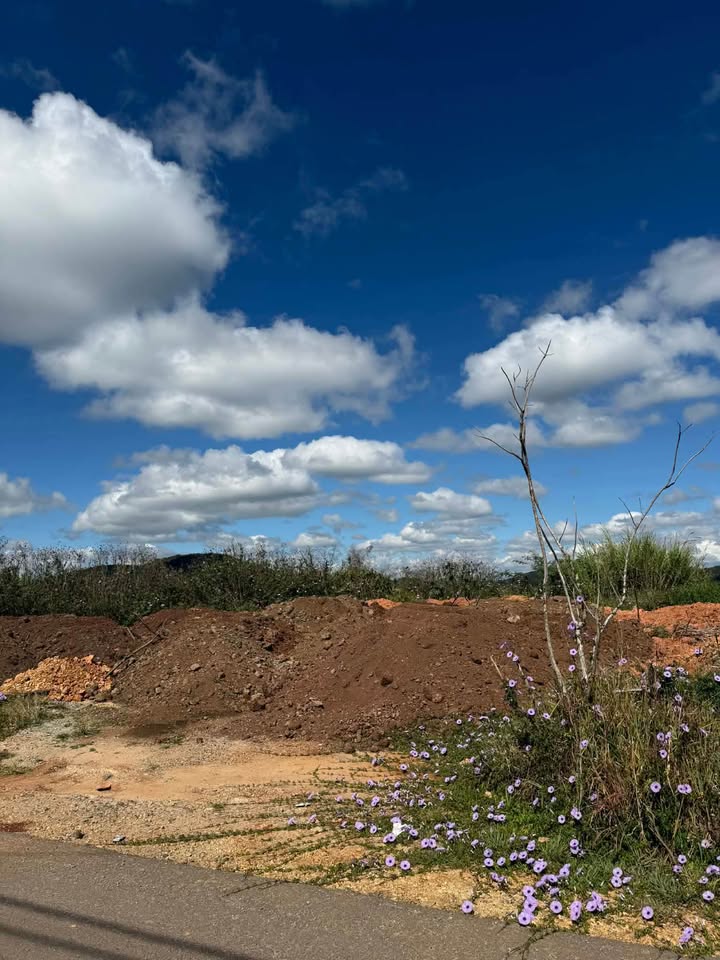 Đất Nền Đà Lạt 300m² - View Săn Mây, Đường Ô Tô 8m