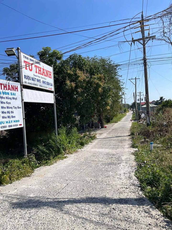 Đất Vườn Nho Phước Thể - 2800m² Sổ Đỏ Rõ Ràng, Giá Tốt