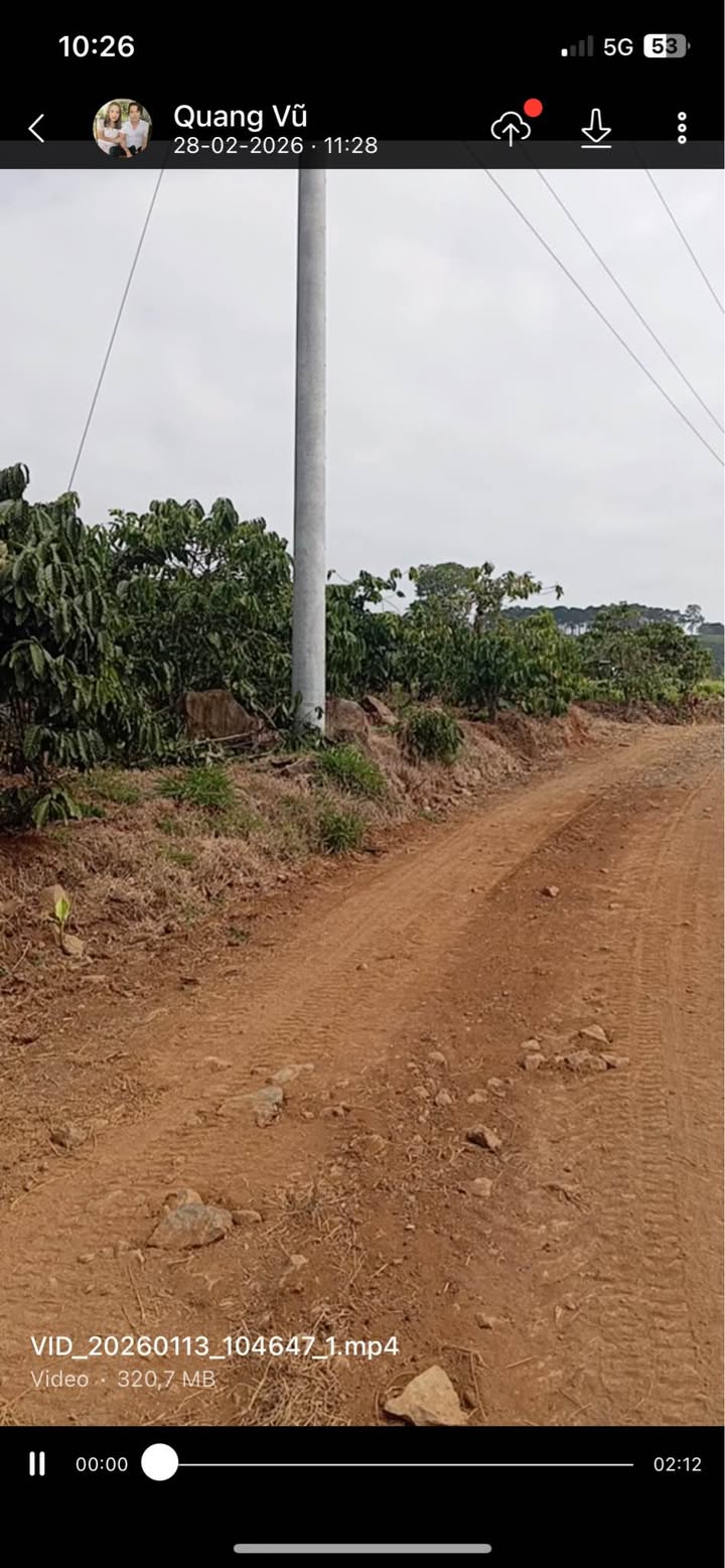 Đất vườn cà phê Ninh Loan Đức Trọng 1.6ha giá 12 tỷ - Nghỉ dưỡng lý tưởng