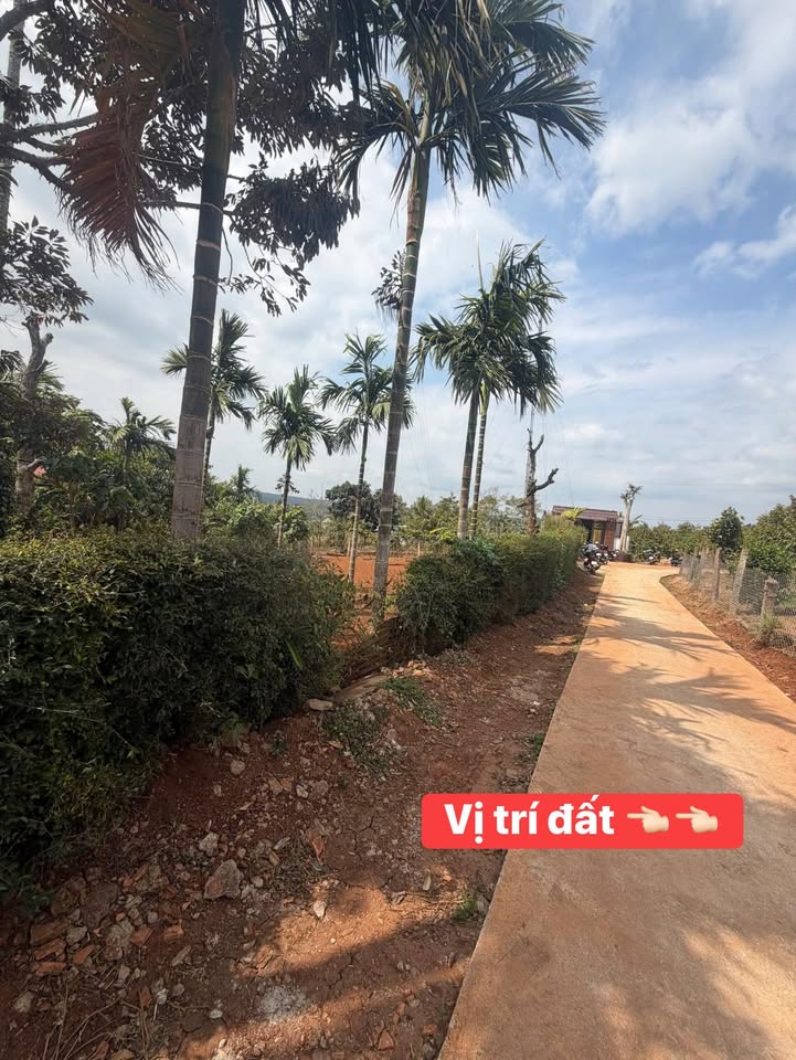 Lô đất Hẻm Lê Quý Đôn 100m² giá 1.29 tỷ - Sổ đỏ chính chủ