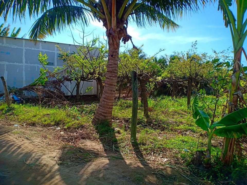 Đất nền Ninh Thuận 1071m² - Sổ đỏ sẵn, công chứng ngay