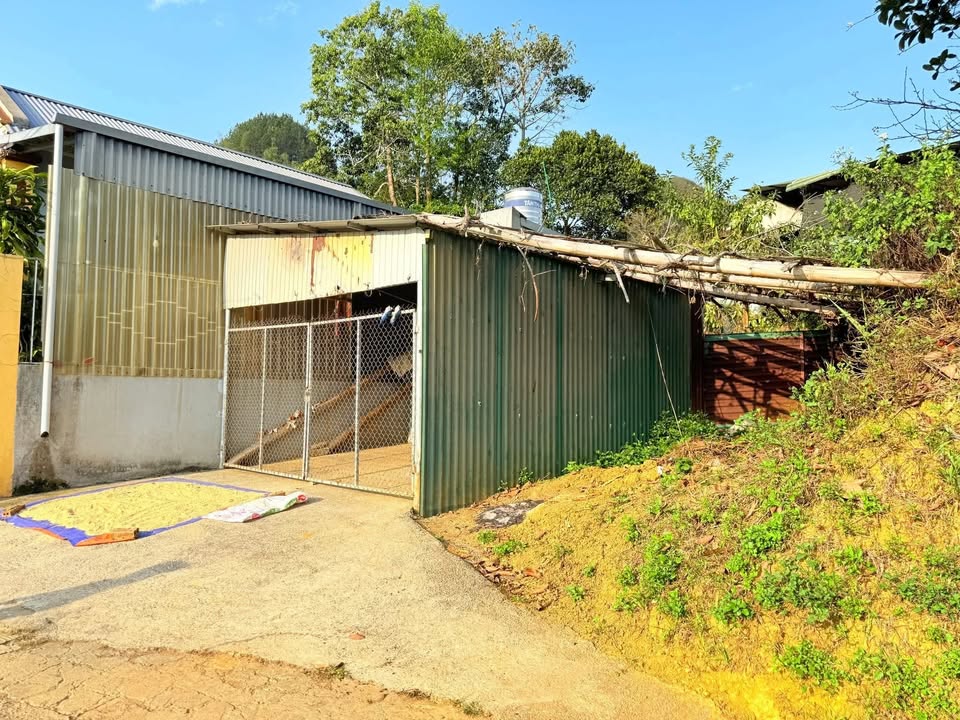 Đất nền Phường Tân Phong 135m² giá hơn 500 triệu - Sổ đỏ chính chủ