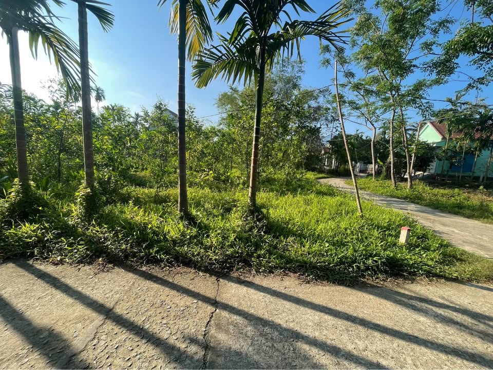 Đất Nền Lương Điền Thượng 204m² - Hai Mặt Tiền, Sổ Hồng Riêng