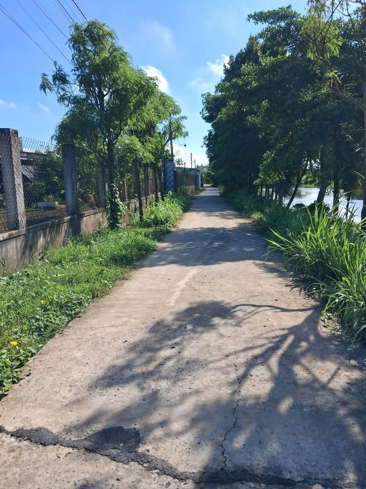 Đất nền Gò Công 383m² view kênh - Giá 700 triệu chốt gấp!