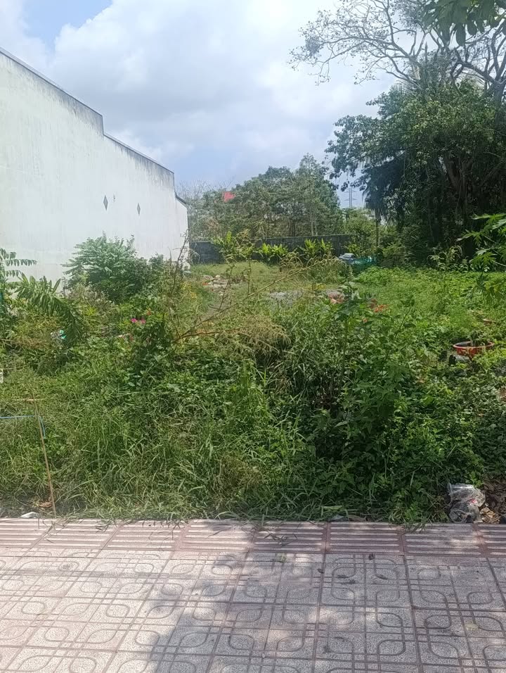 Bán Nền Thổ Cư 300m² Quốc Lộ 1A, Bạc Liêu - Hướng Tây, Giá 3.5 Tỷ