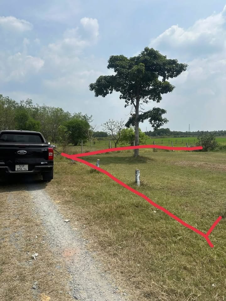 Đất Nền Củ Chi 500m² Sổ Hồng Riêng - Giá 50 Tỷ