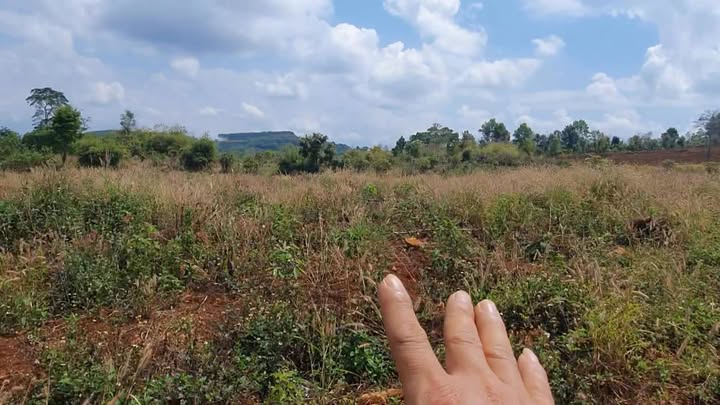 Bán Gấp 5000m² Đất Đỏ Long Sơn, Đak Mil - Sổ Đủ, Giá Tốt 3.2 Tỷ