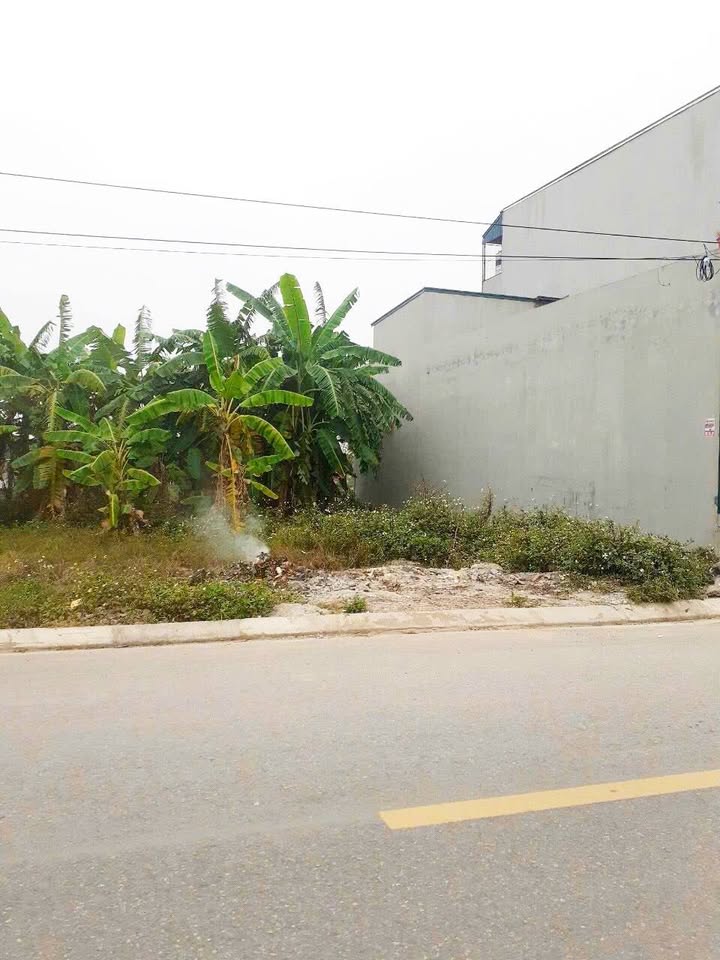 Đất Mặt Tiền QL 191C Gia Lộc - Kinh Doanh Sầm Uất 80m² - 2 Tỷ Nhỉnh