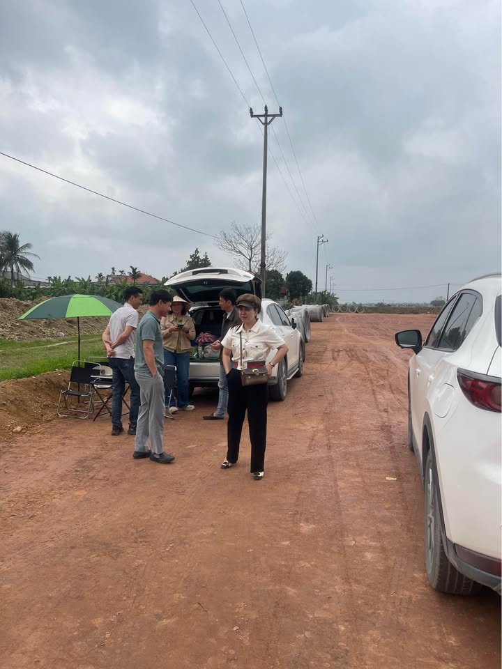 Đất Nền Khu Dân Cư Mới Tứ Kỳ - Sổ Đỏ Rõ Ràng, Đầu Tư Sinh Lời