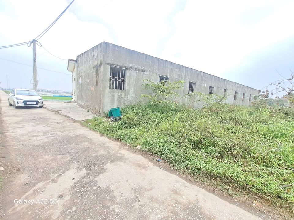 Bán Đất KCN Hưng Long - 121m² Mặt Tiền Rộng 5m - 1.5 Tỷ