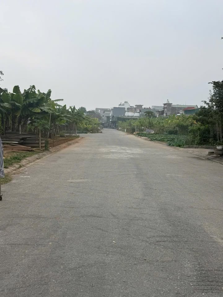 Đất Dịch Vụ Tích Sơn Vĩnh Phúc 105m² - Giá Tốt Nhất Khu