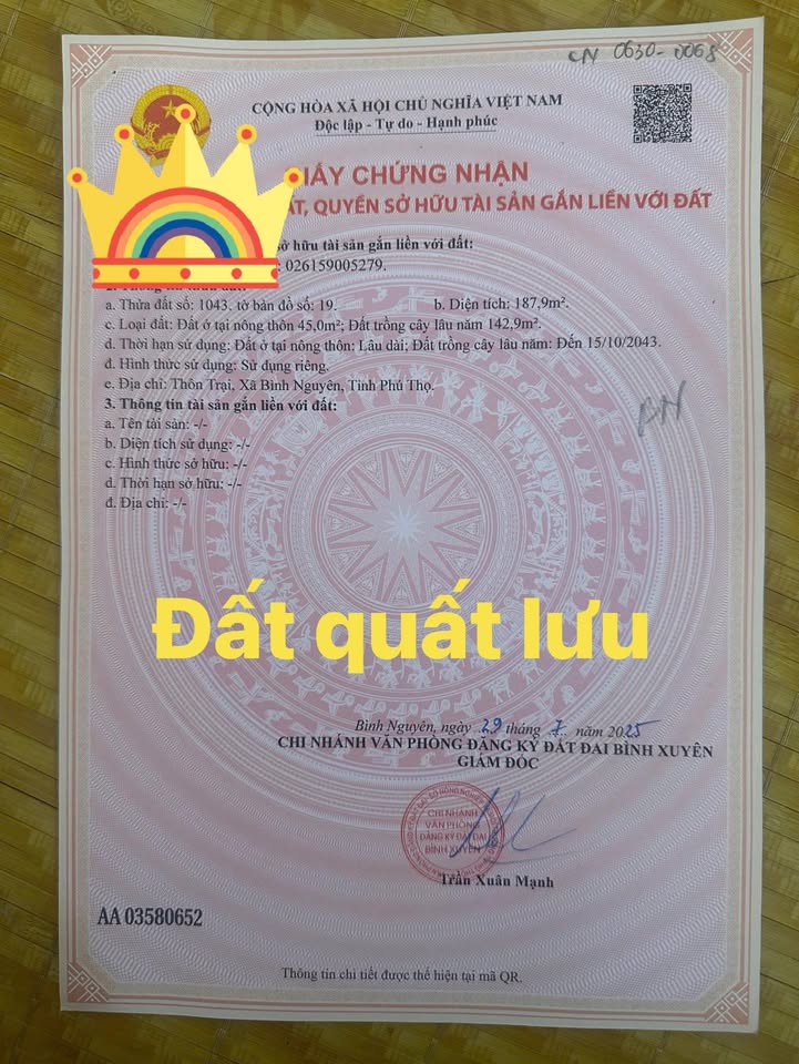 Bán đất Vĩnh Yên 187m² - Mặt tiền 8.8m, trục kinh doanh đắc địa