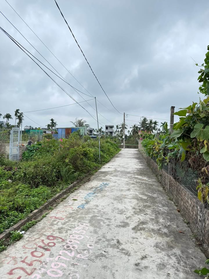 Bán Đất TDP Kiều Trung, An Dương 74m² - Giá 1.3 Tỷ, Sổ Đỏ Sẵn Sàng