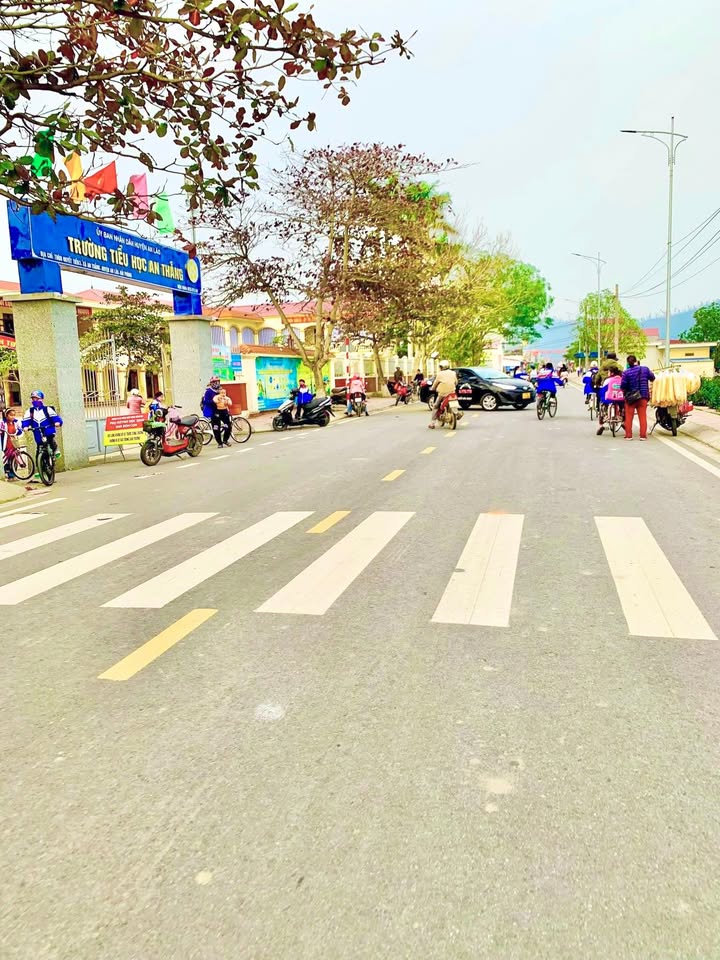 Đất nền An Lão 125m² giá 2 tỷ - Sổ hồng chính chủ, kinh doanh tốt!