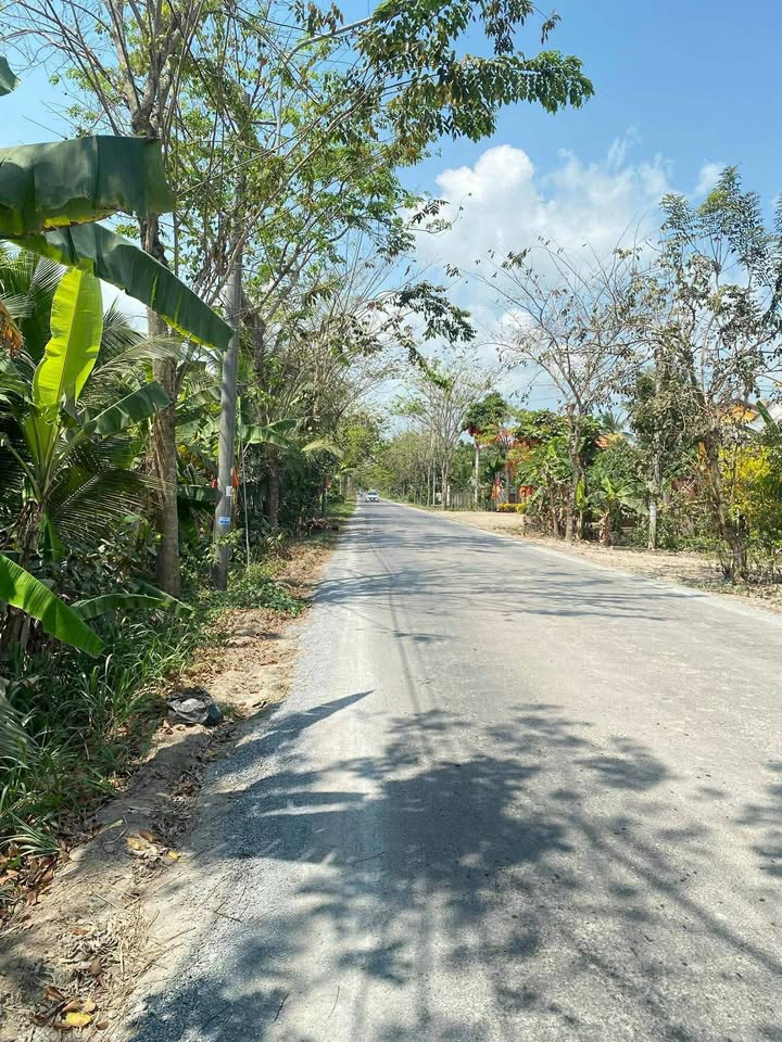 Đất Mặt Tiền Đường 907 Vũng Liêm 225m² - Sổ Đỏ Chính Chủ Giá Tốt