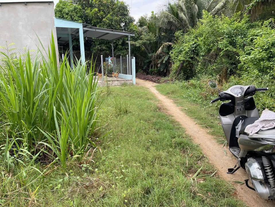 Đất nền Phước Mỹ 1343m² - Đường ô tô, xây dựng tự do!