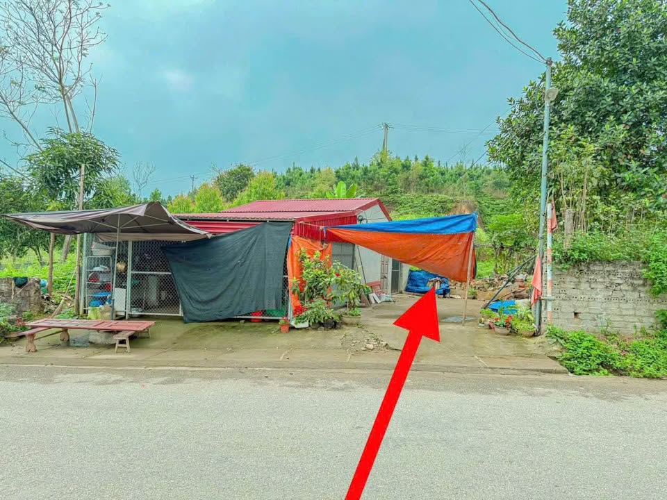 Đất nền Tu Vũ, Phú Thọ 198.6m² - Sổ đỏ chính chủ, kinh doanh sầm uất!