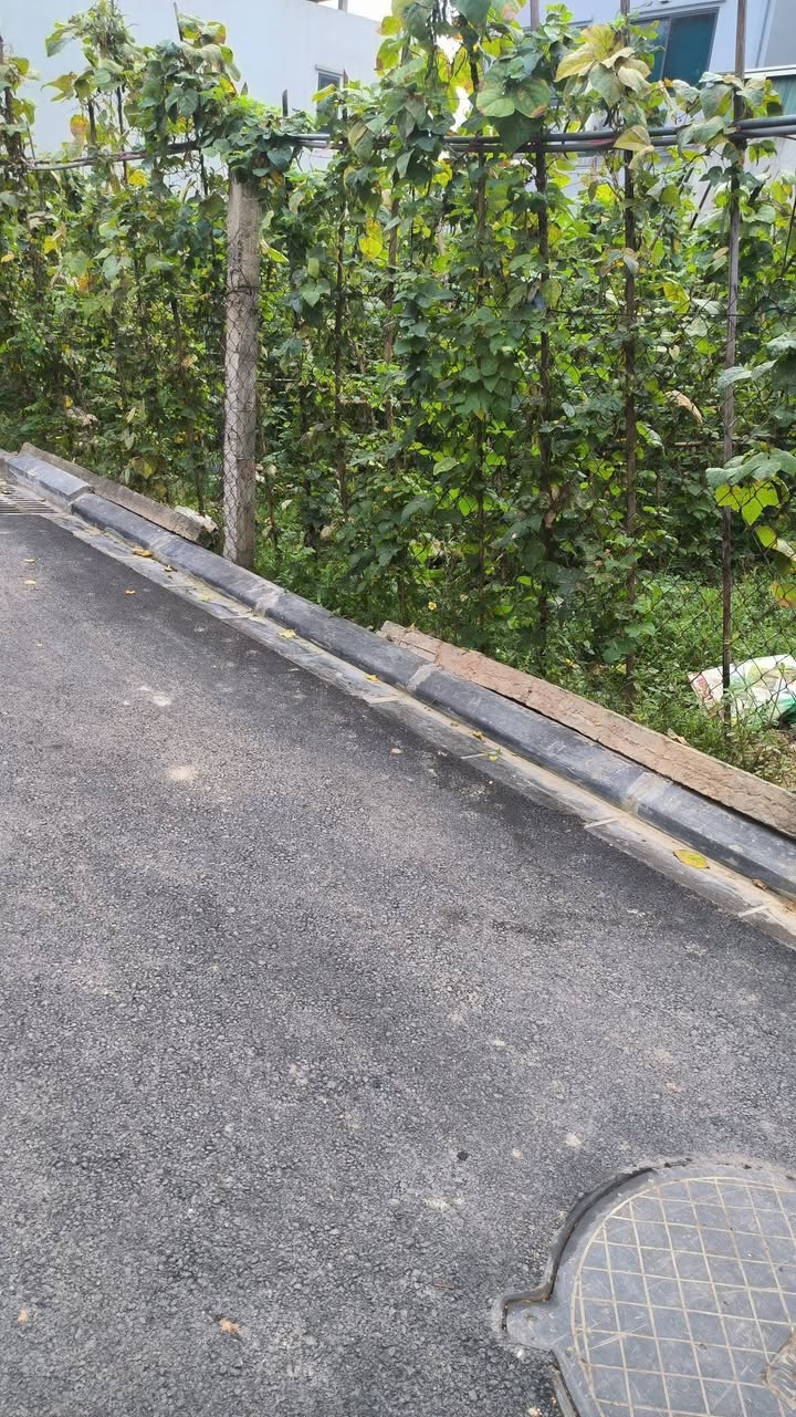 Bán Đất Nền Đông Anh 350m² - Sổ Đỏ Nét, Mặt Tiền Lớn, Giá 21 Tỷ