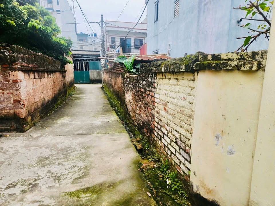 Bán Đất 162m² Chương Mỹ - Sẵn Sàng Chia 3 Sổ - Ô tô Tận Nơi