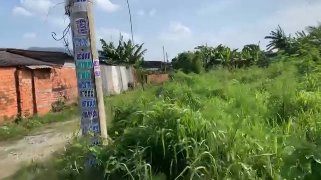 Bán Đất Vườn 1480.8m² Hàm Thuận Nam - Sẵn Vườn Thanh Long, 3 Tỷ