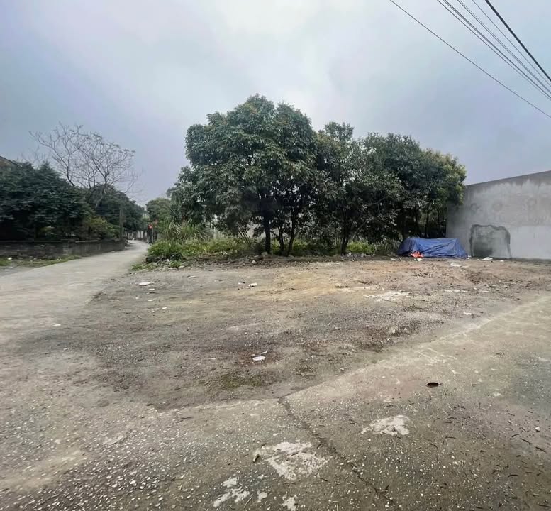 Đất nền Kim Bảng 81m² - Hơn 700 triệu, sổ đỏ chính chủ